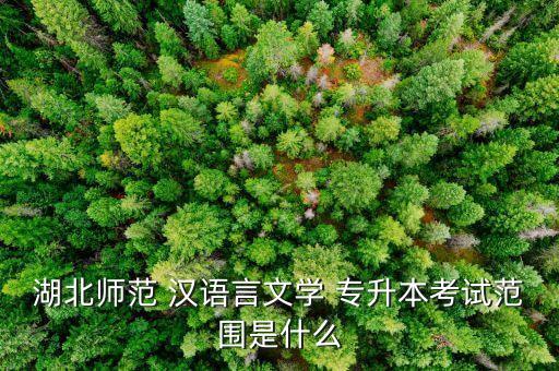 現(xiàn)代漢語(yǔ)專升本題型,成人高考漢語(yǔ)語(yǔ)言文學(xué)專業(yè)分三個(gè)層次
