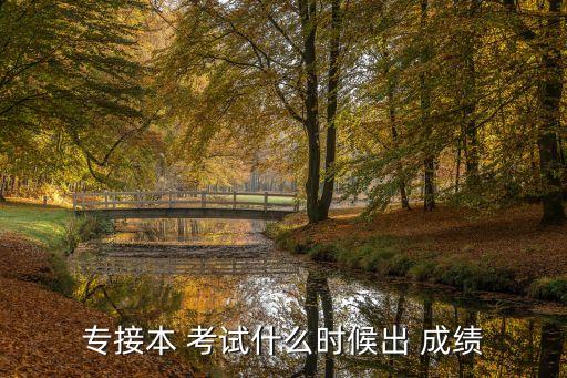 專升本考試啥時(shí)候查成績,專升本考試供中央考試事業(yè)單位參與