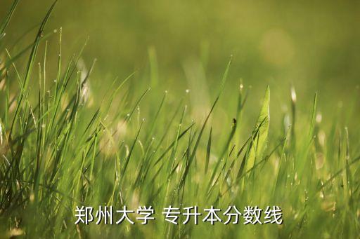 鄭州大學(xué) 專升本分數(shù)線