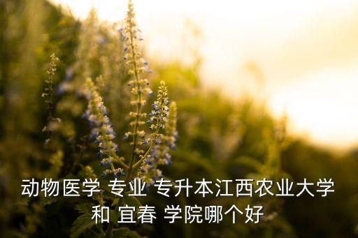 動物醫(yī)學(xué) 專業(yè) 專升本江西農(nóng)業(yè)大學(xué)和 宜春 學(xué)院哪個好