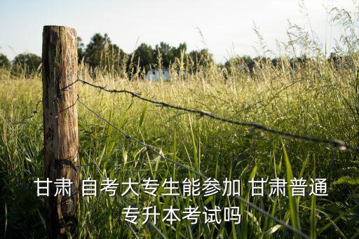 甘肅專(zhuān)升本自考網(wǎng),統(tǒng)招專(zhuān)升本要求學(xué)生有大學(xué)文憑