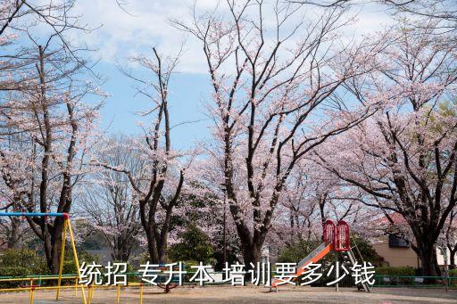 統(tǒng)招 專升本 培訓要多少錢