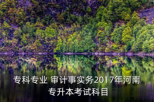 ?？茖I(yè) 審計(jì)事實(shí)務(wù)2017年河南 專升本考試科目