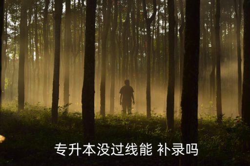  專升本沒過線能 補(bǔ)錄嗎