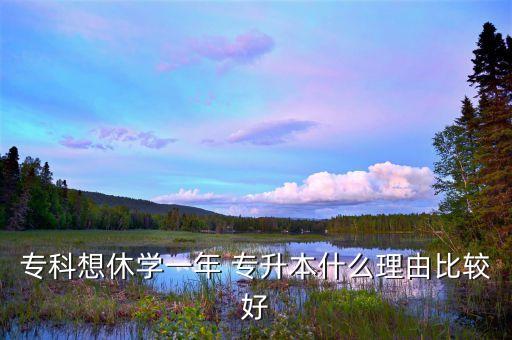 ?？葡胄輰W(xué)一年 專升本什么理由比較好