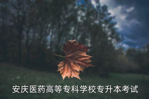  安慶醫(yī)藥高等專科學校專升本考試