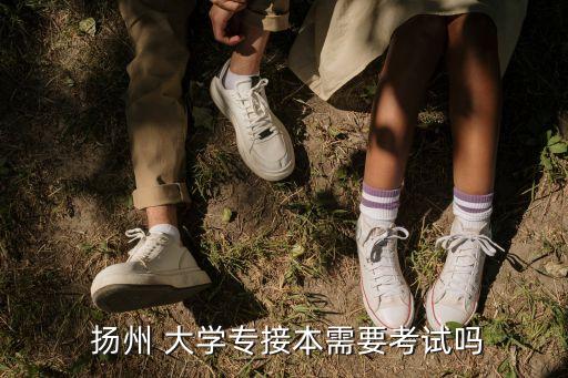  揚州 大學專接本需要考試嗎