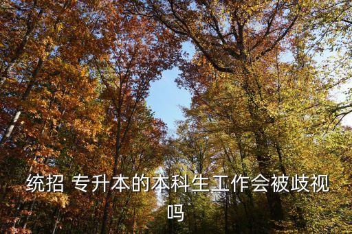  統招 專升本的本科生工作會被歧視嗎
