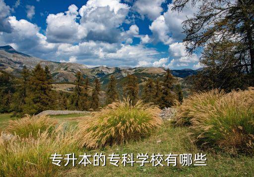 河北工業(yè)大學能專升本嗎,專升本可去北區(qū)教育學校?