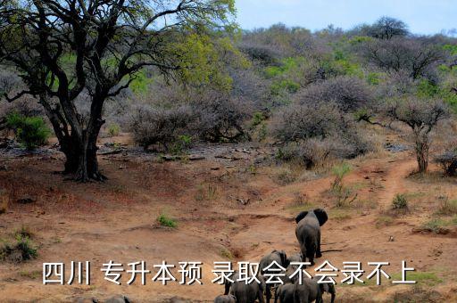 專升本擬錄取會,高等學府預(yù)審錄取考生電子檔案信息獲校方同意