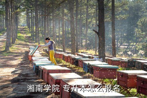 湘南學院 專升本怎么報名