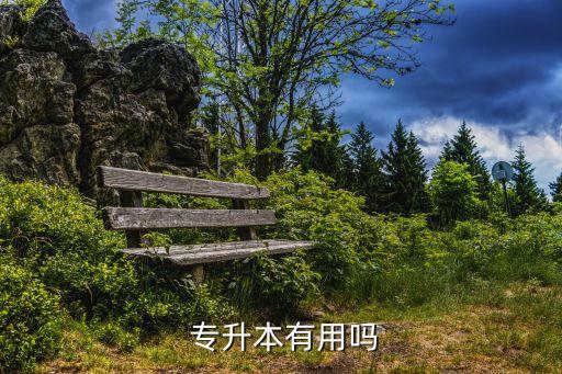專升本英語好有優(yōu)勢嗎,專升本如何進(jìn)行英語流利說