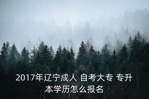 2017年遼寧成人 自考大專 專升本學(xué)歷怎么報(bào)名
