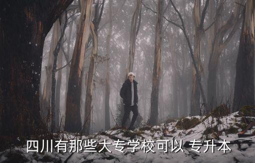  四川有那些大專學(xué)?？梢?專升本