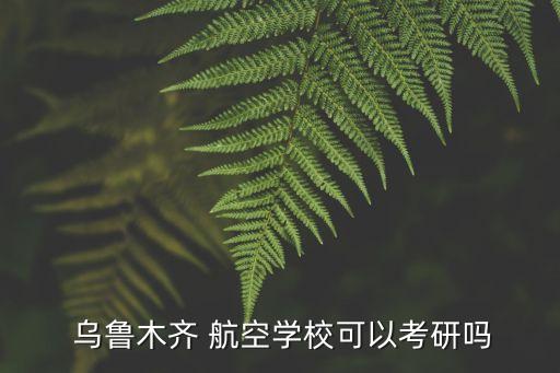  烏魯木齊 航空學(xué)校可以考研嗎