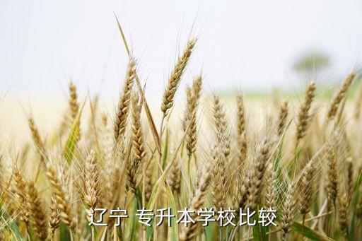  遼寧 專升本學(xué)校比較