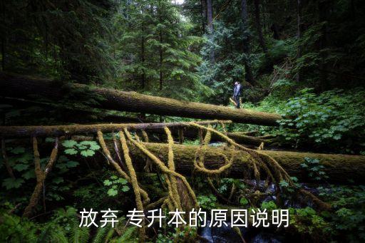  放棄 專升本的原因說(shuō)明