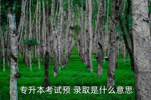  專(zhuān)升本考試預(yù) 錄取是什么意思