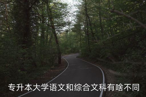  專升本大學(xué)語文和綜合文科有啥不同