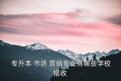  專升本 市場 營銷專業(yè)有哪些學校招收