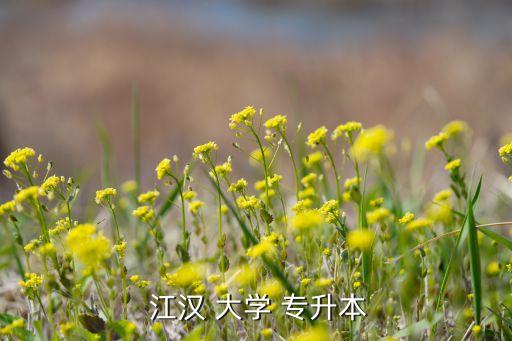 江漢大學(xué)也專(zhuān)升本成績(jī),武漢一、武漢大學(xué)有自考本科專(zhuān)科畢業(yè)