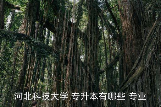 河北省專(zhuān)升本 專(zhuān)業(yè),河北專(zhuān)科學(xué)?？荚嚳颇堪ü舱n和專(zhuān)業(yè)課