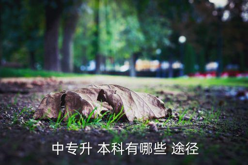 中專升本科有什么途徑,成人教育?？飘厴I(yè)生有兩種選擇