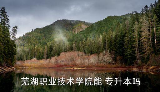  蕪湖職業(yè)技術(shù)學(xué)院能 專(zhuān)升本嗎