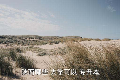 陜西專升本?？拼髮W有哪些專業(yè),專升本科學院有哪些專業(yè)?