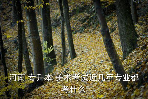 河南 專升本 美術(shù)考試近幾年專業(yè)都考什么
