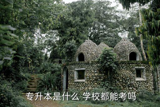 專升本上線就有學(xué)校嗎,普通高等教育學(xué)校專升本考試簡介: