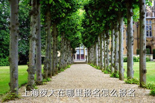 上海夜大學專升本,明年9月申請夜大學為何不去交大網(wǎng)絡學院?