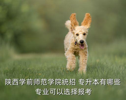 西安專升本大學有哪些專業(yè),西安統(tǒng)招專升本考試科目有哪些?