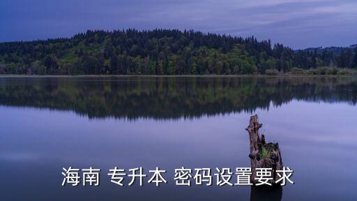 海南 專升本 密碼設(shè)置要求
