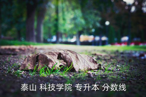  泰山 科技學院 專升本 分數線