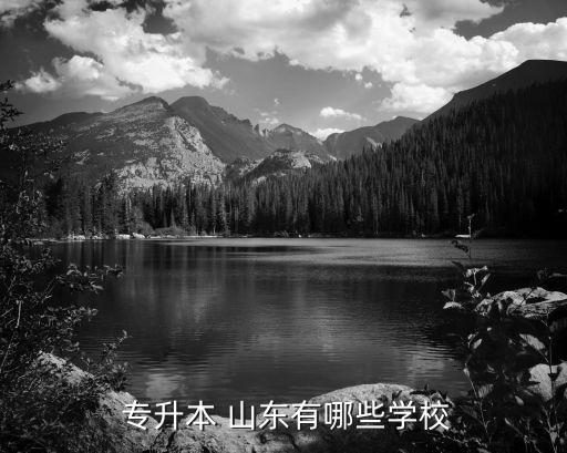  專升本 山東有哪些學校