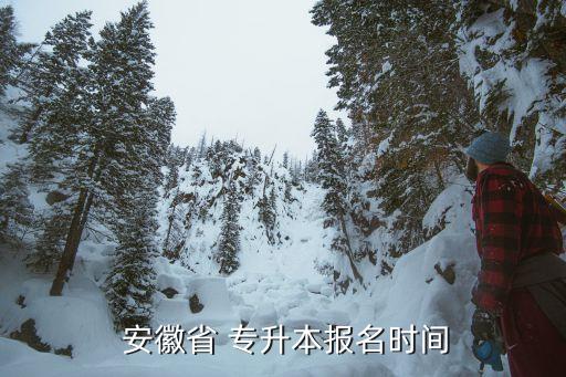 2016安徽專升本網站,安徽高考自考專升本報名網上進行