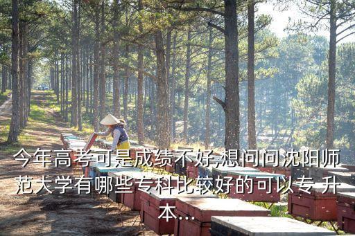 今年高考可是成績不好,想問問沈陽師范大學(xué)有哪些?？票容^好的可以專 升本...