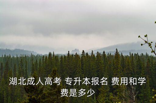 成教專升本費(fèi)用,湖北成人高考專升本報名費(fèi)用60元