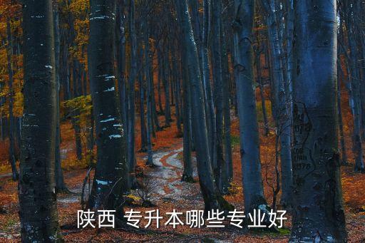 專升本小學教育和會計,西安專升本哪些專業(yè)好?