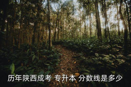 歷年陜西成考 專升本 分數(shù)線是多少