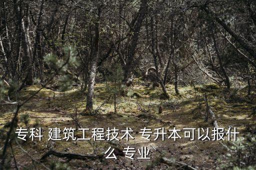 專科 建筑工程技術(shù) 專升本可以報(bào)什么 專業(yè)