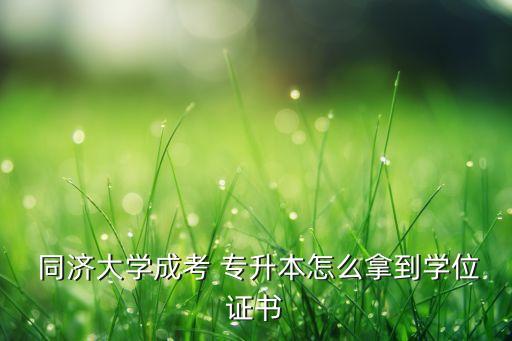  同濟大學成考 專升本怎么拿到學位證書