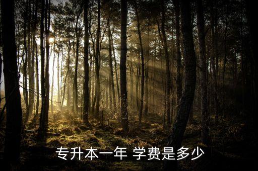  專升本一年 學費是多少