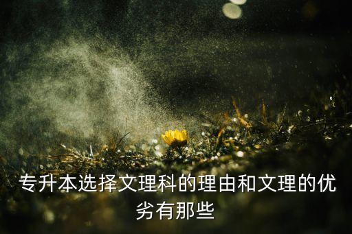 專升本理由,高等學(xué)府畢業(yè)生報(bào)考專升本注意事項(xiàng)