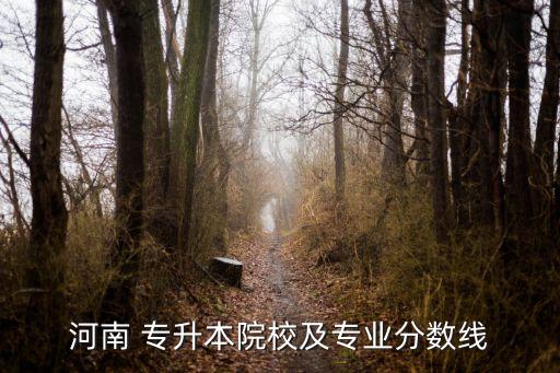 河南 專升本院校及專業(yè)分數(shù)線