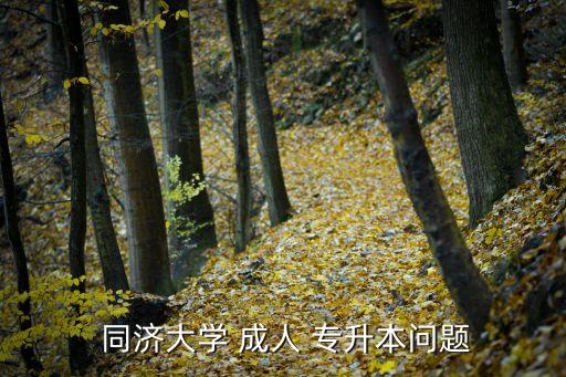 同濟大學 成人 專升本問題