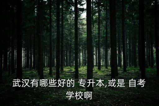 武漢有哪些好的 專升本,或是 自考學校啊