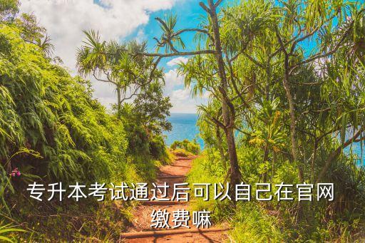  專升本考試通過(guò)后可以自己在官網(wǎng) 繳費(fèi)嘛