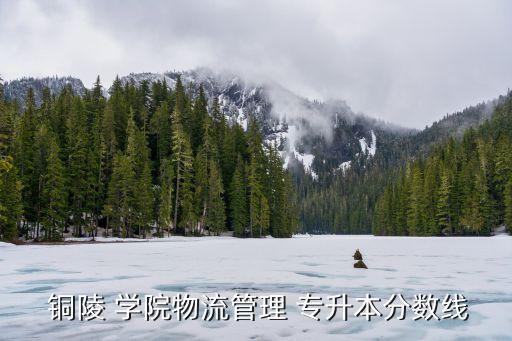 銅陵 學(xué)院物流管理 專升本分數(shù)線